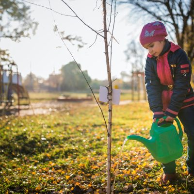 Serious little hardworking girl watered a planted tree from